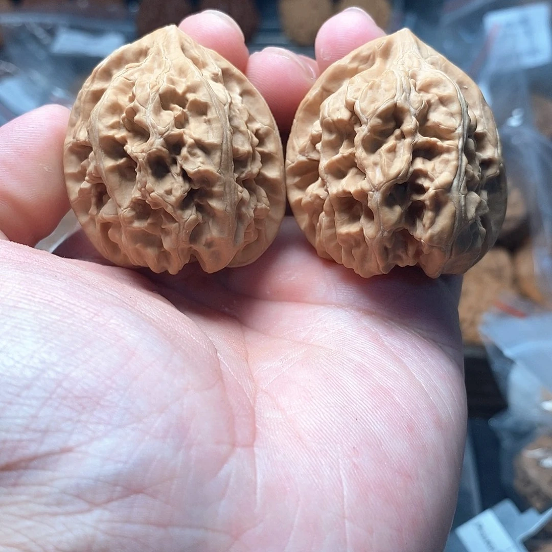 1文玩核桃承德粗筋马蹄40-311