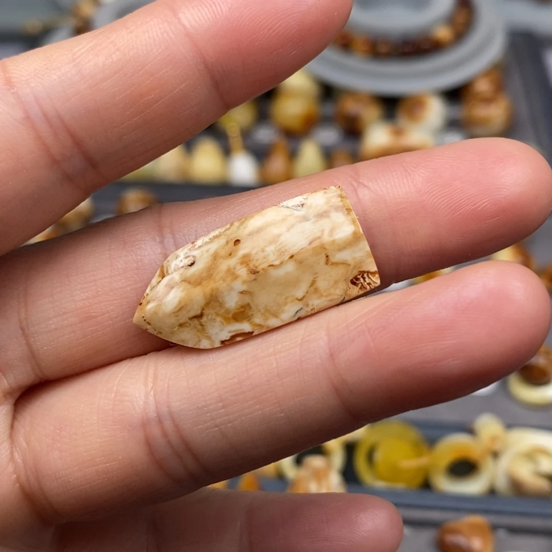 琥珀未镶嵌耳饰盾牌