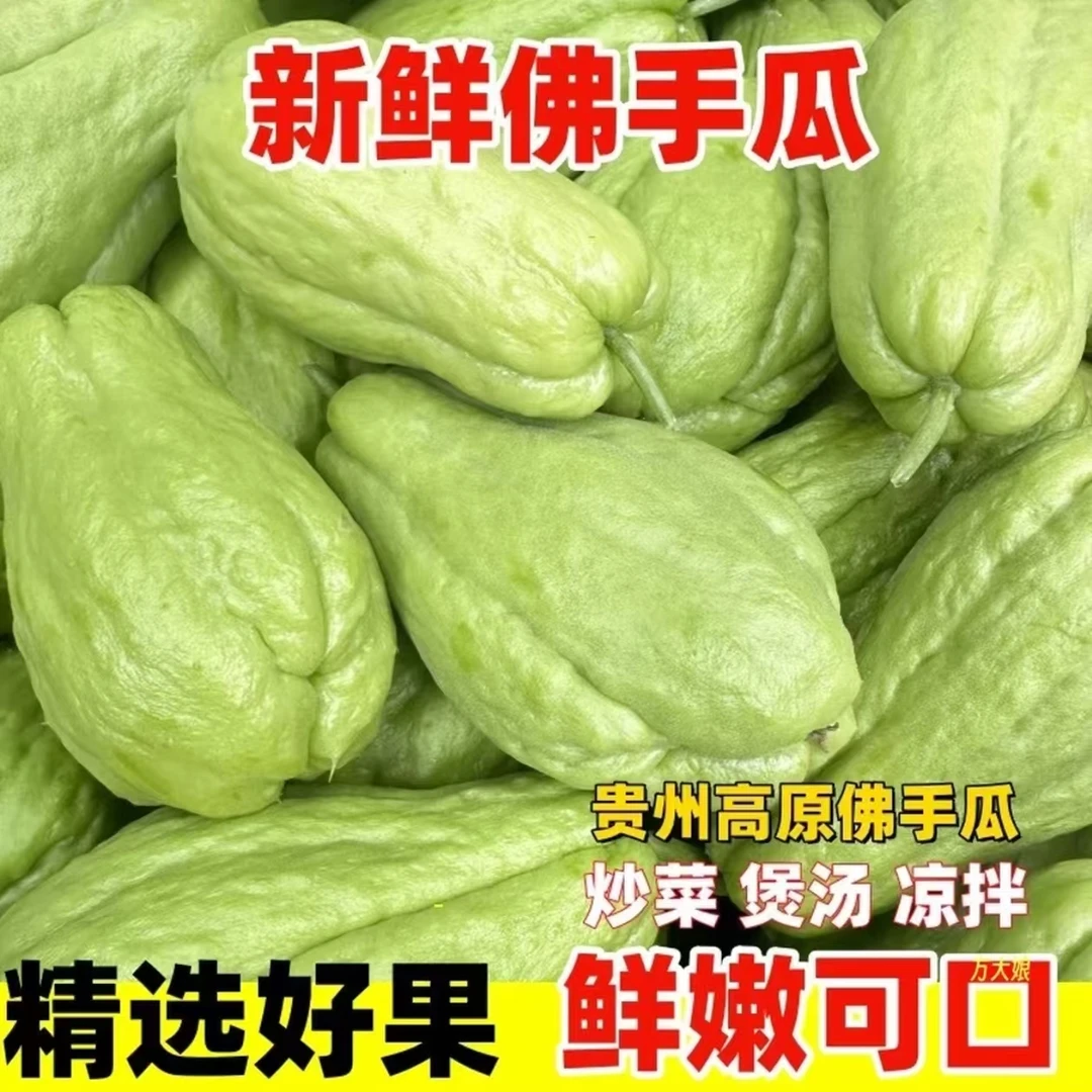 贵州高山农家种植现摘佛手瓜嫩瓜需要削皮