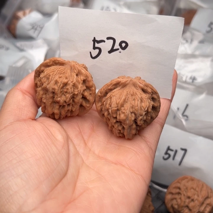 核桃395尺寸四座楼