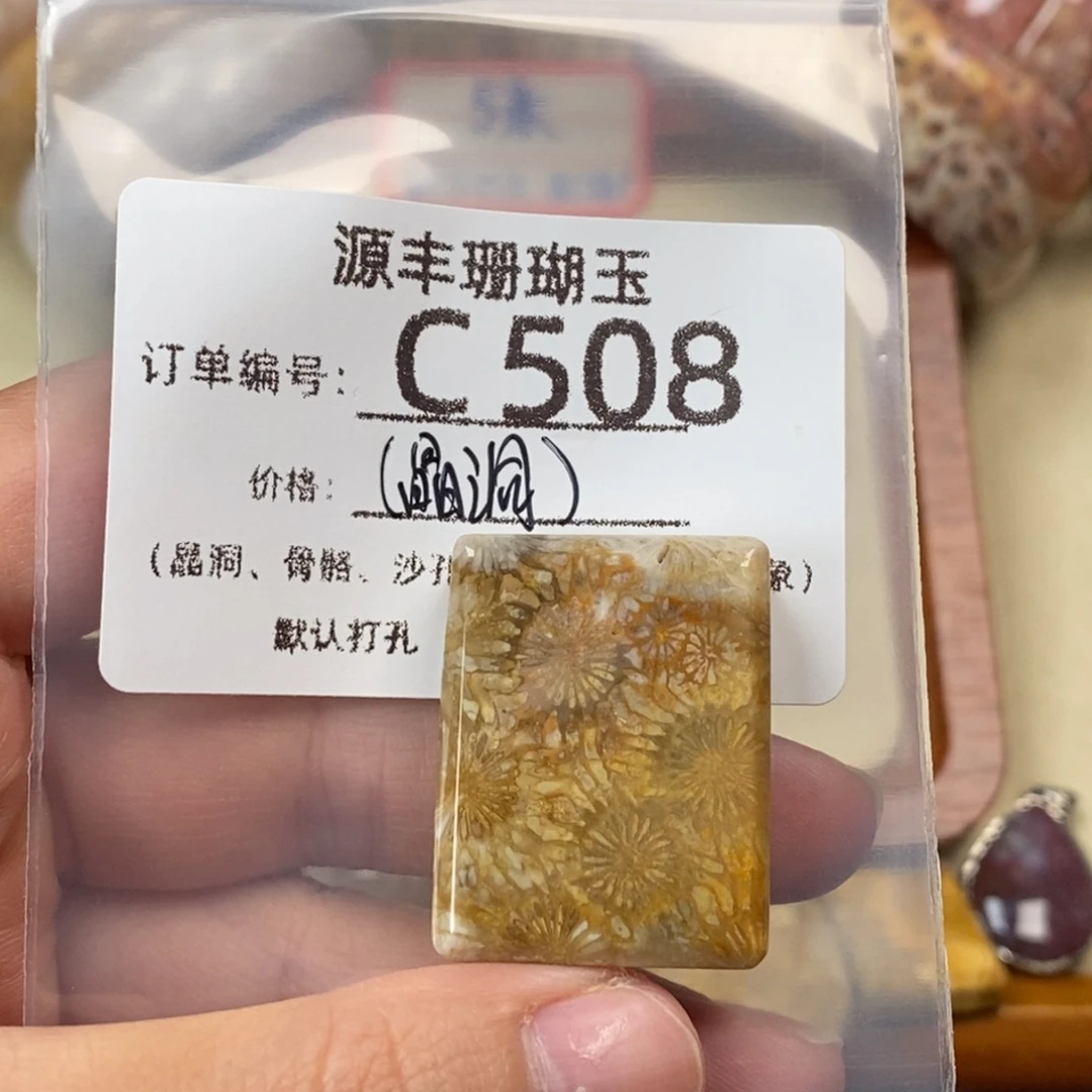 阳***人硅化玉未镶嵌颈饰