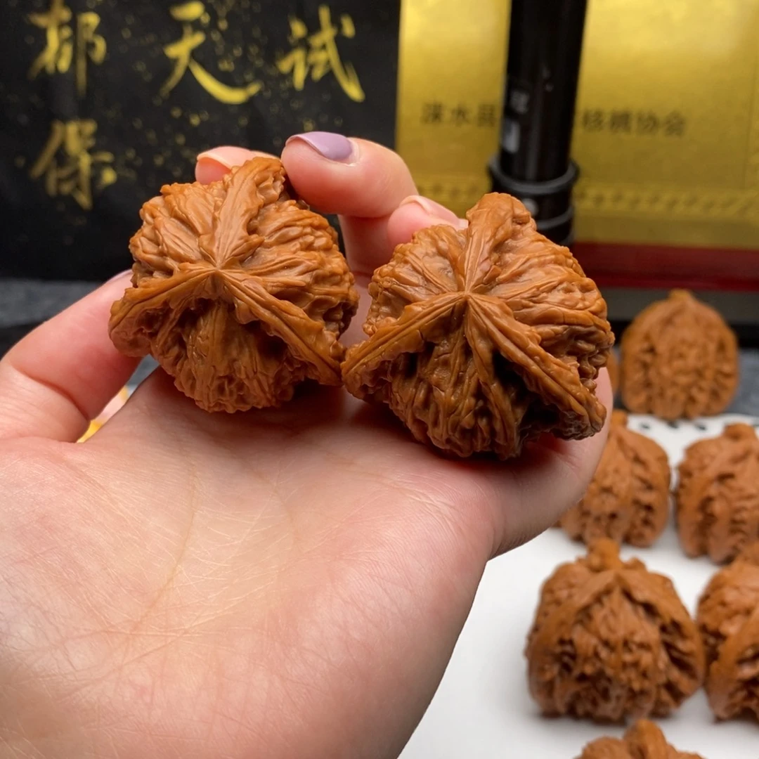 徐*白狮子1111111