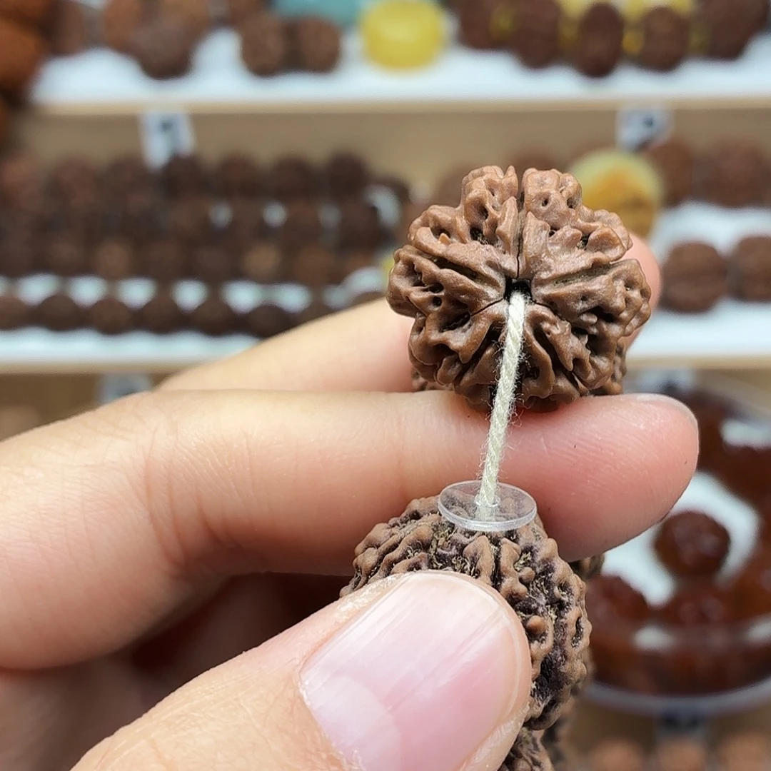 金刚菩提手串精品梅花蜂窝双龙红皮铁籽