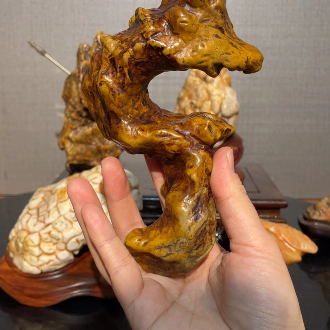 【闪购商品】九龙璧C龙配底座