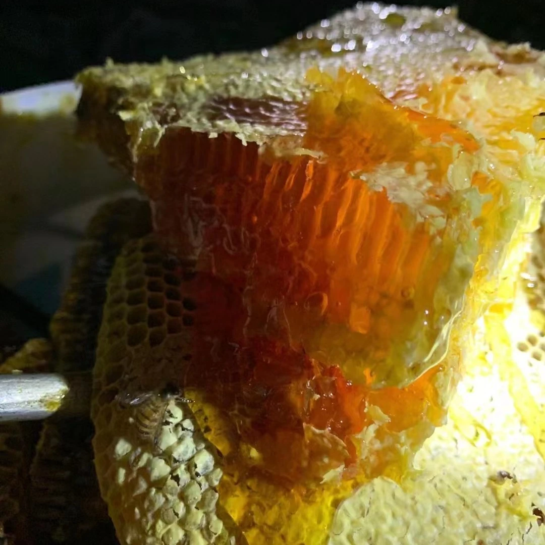 武都高山蜂巢蜜也可以嚼着吃陇南特产