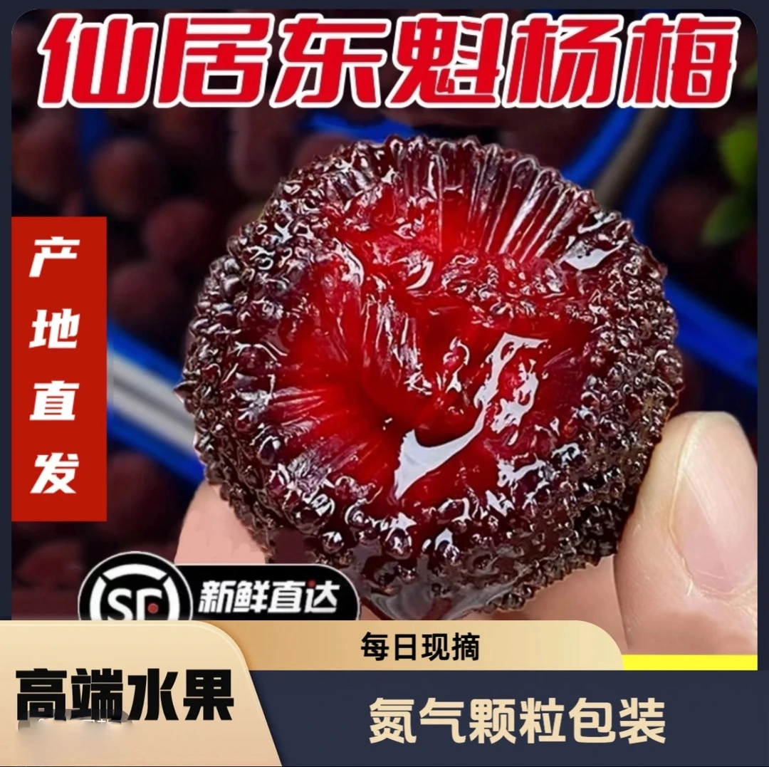 11A梅王特大仙居东魁杨梅大果杨梅颗粒装高山杨梅甜杨梅现采现发