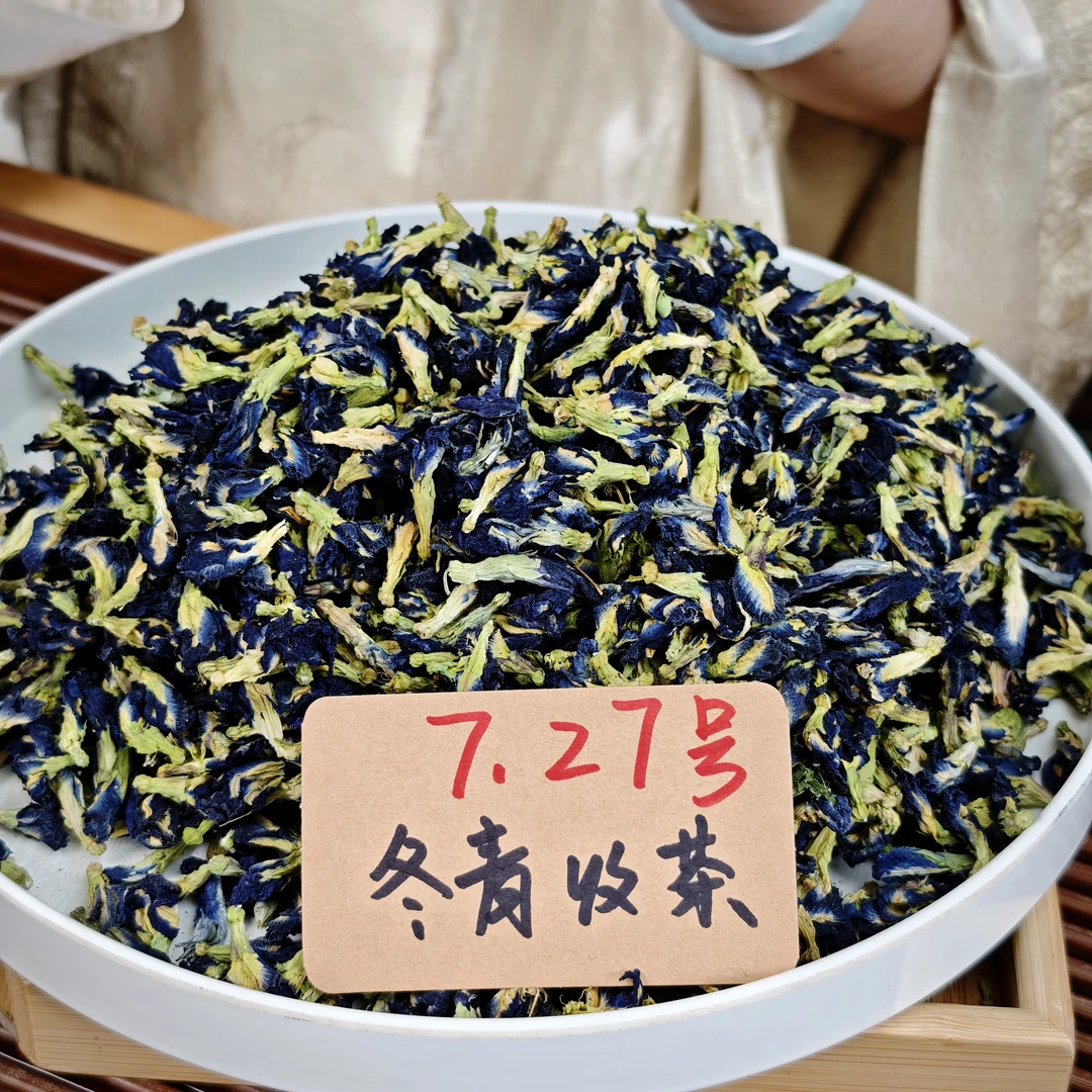 云南西双版纳  南古蝶 冬青收茶