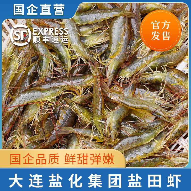【活虾速冻】【有大有小】3斤复州湾盐田虾(平均40-50只/斤)嫌小勿拍