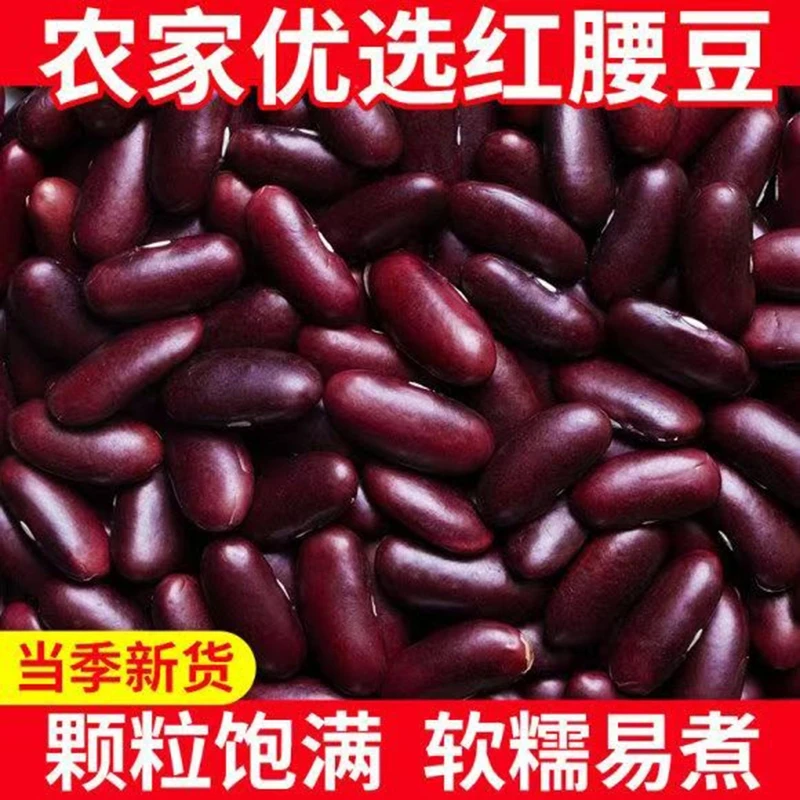 云南红腰豆特产大红豆红腰豆红芸豆红豆新货芸豆豆米煲粥五谷