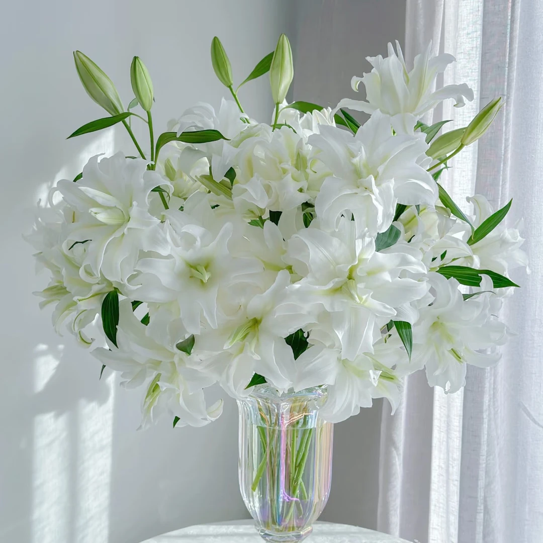 「嘤嘤怪鲜花」甜甜的梦重瓣百合上海种业百合云南直发顺丰包邮