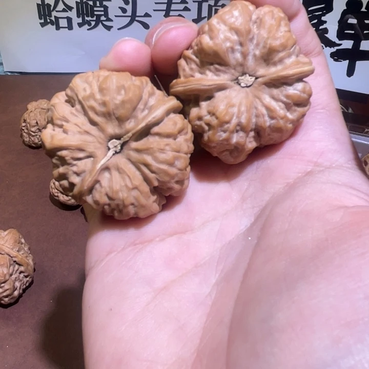 引***)核桃手串/手链111111111111