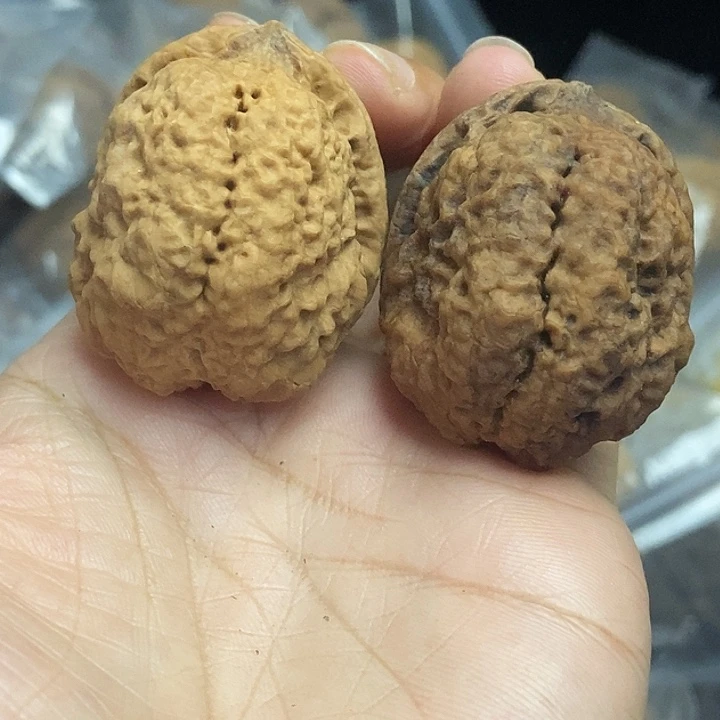 木质类云南铁核桃+52