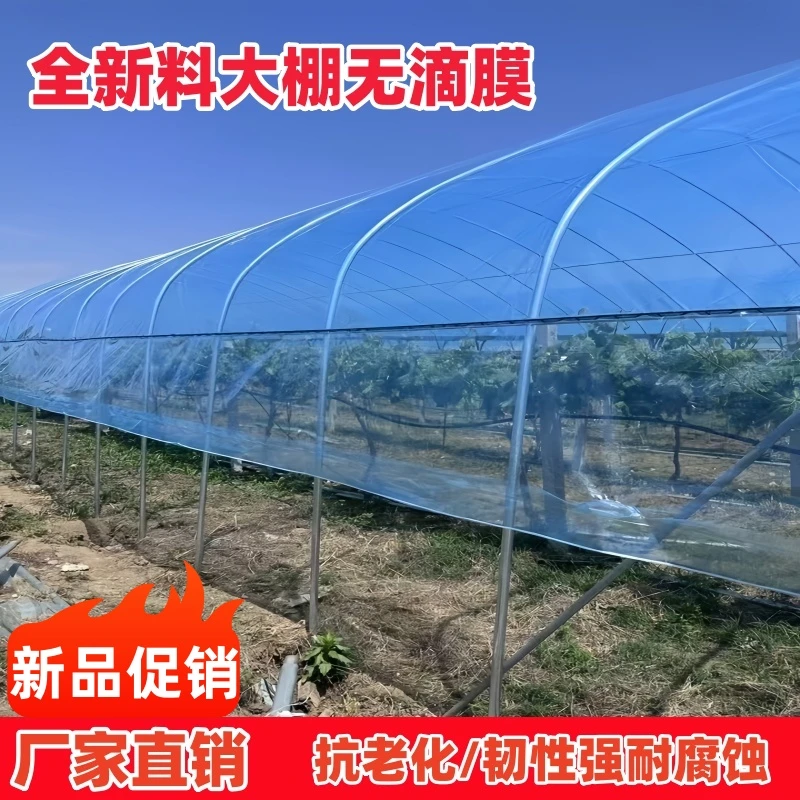 进口大棚膜蔬菜保温加厚无滴膜PO膜透明塑料薄膜抗老化养殖无滴膜