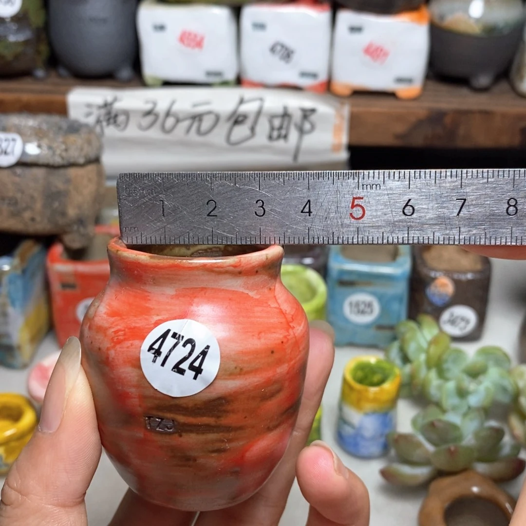 拍5送一个小礼物