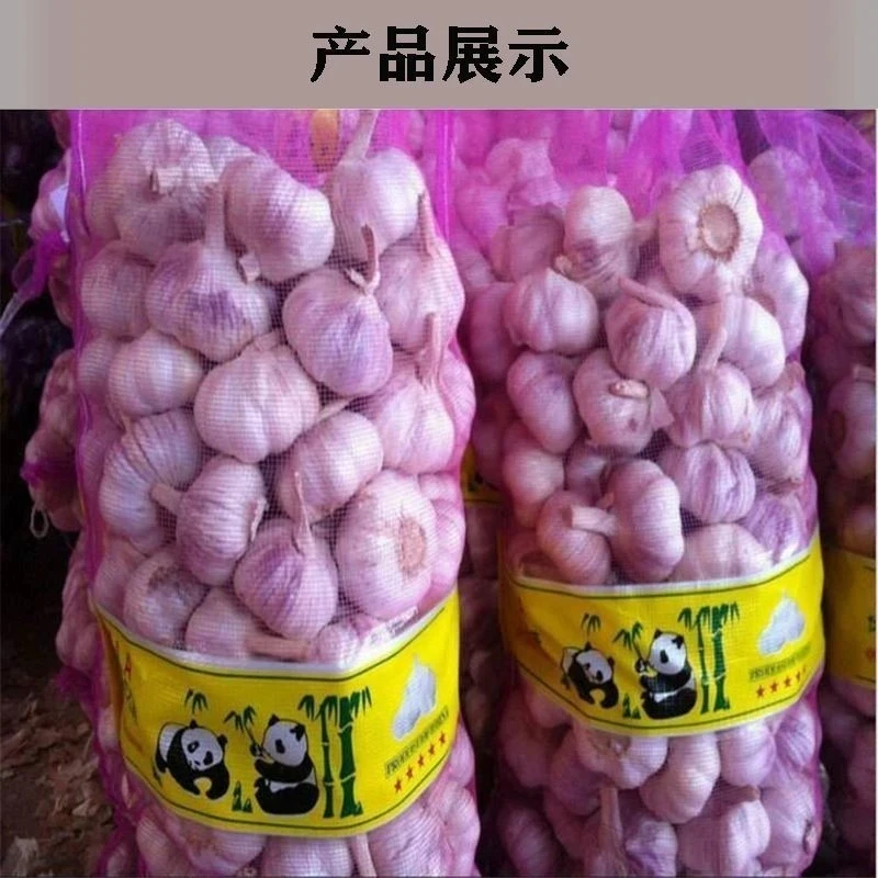 【新店半价】正宗紫白皮干大蒜河南紫白皮大蒜干蒜紫白皮蒜包邮批发