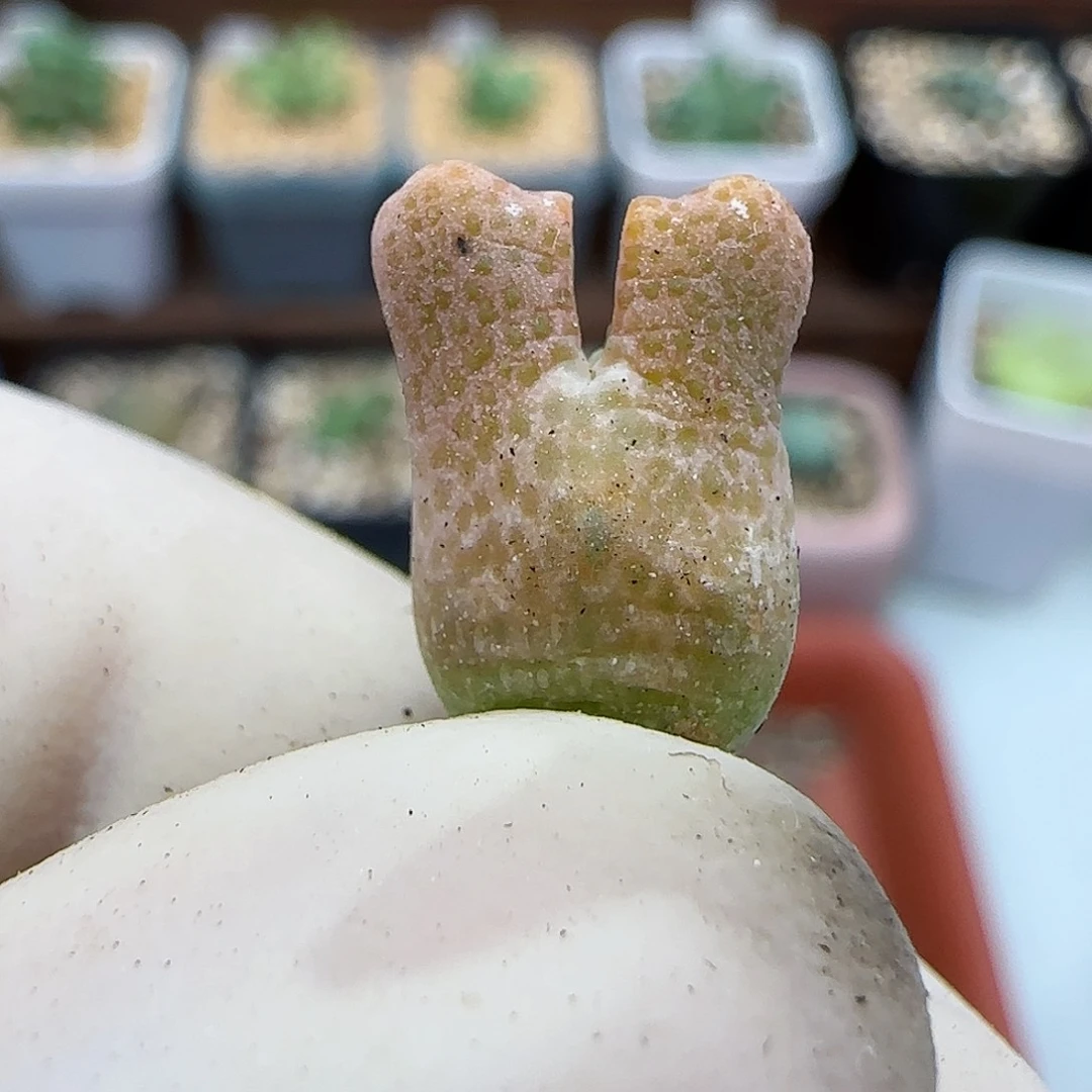 416福利福利福利