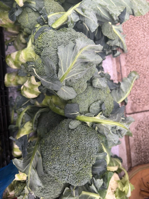 贵州大学生助农*西兰花