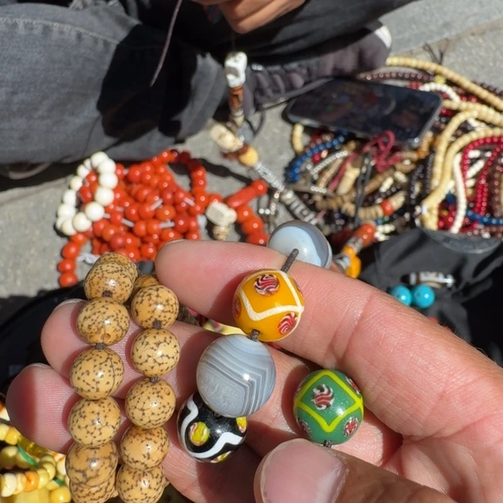 星月菩提吊坠福*菩提树等树木的生长发育和