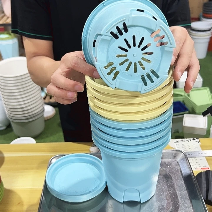 圆控根口15高15混色带托10个