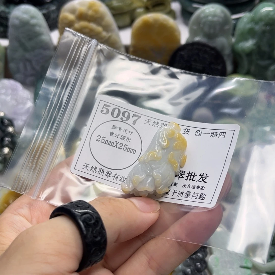 翡翠未镶嵌颈饰5097