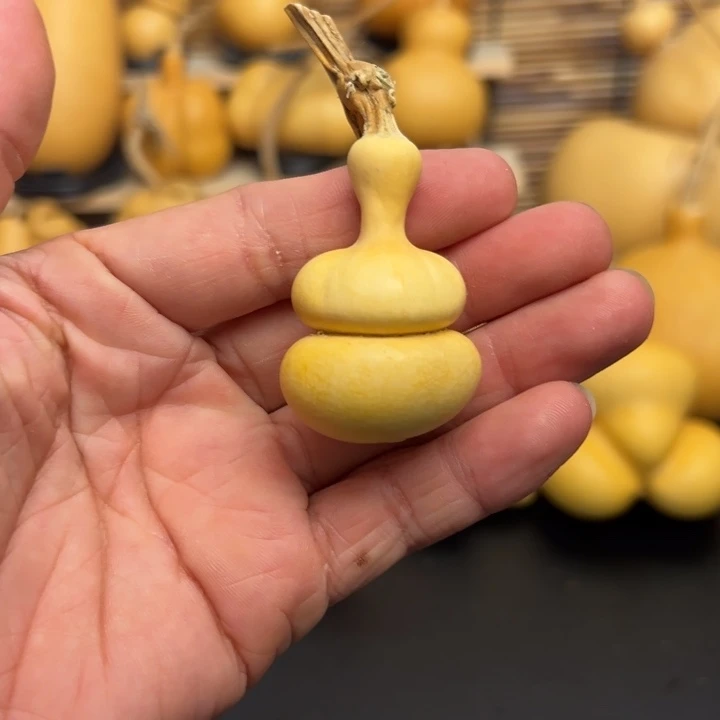 懒**?25556988556988888899