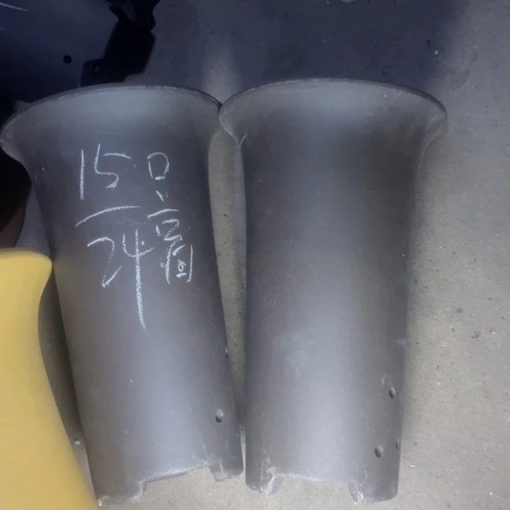 周深周深周深周深