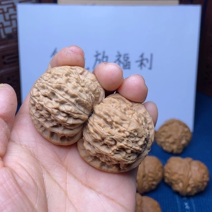 文玩核桃把件白狮子40