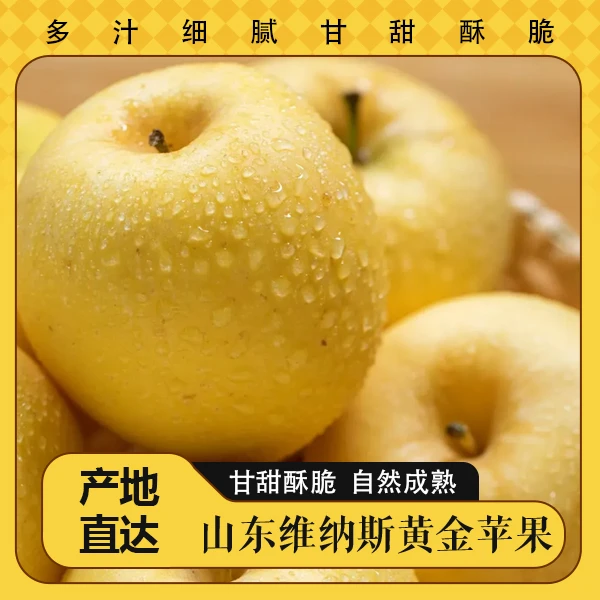 小果尝鲜   维纳斯黄金苹果 甘甜酥脆 产地果园现摘新鲜水果
