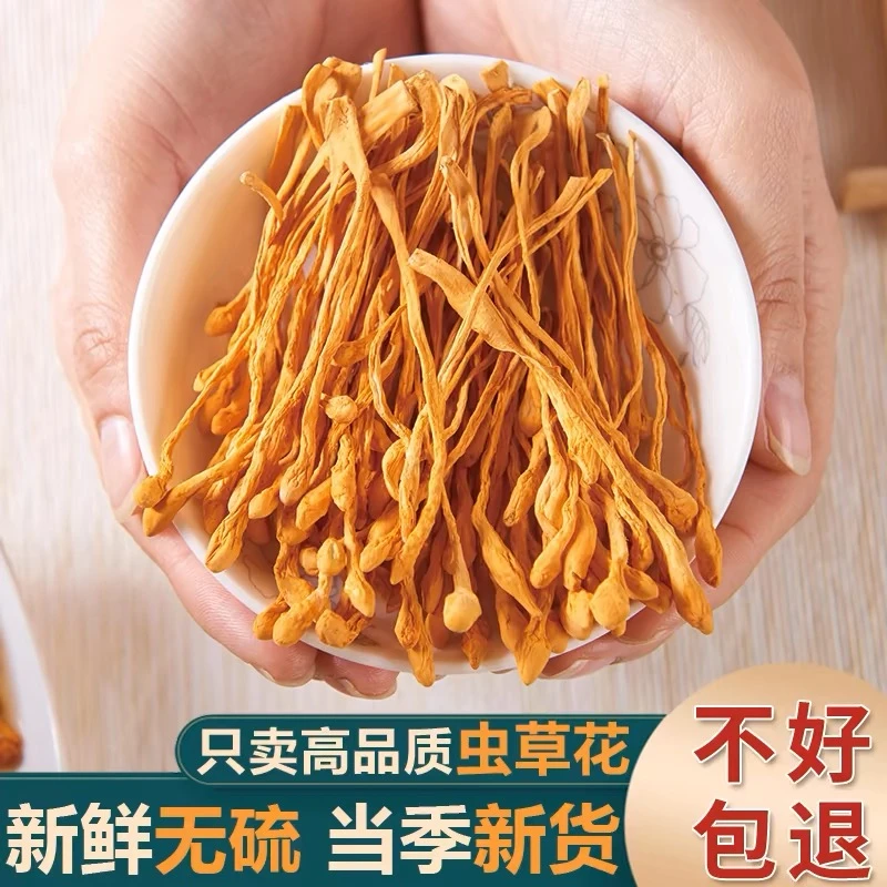 【新娇姐】当季虫草花嫩干货精选孢子头北金虫草煲汤精品散装10g