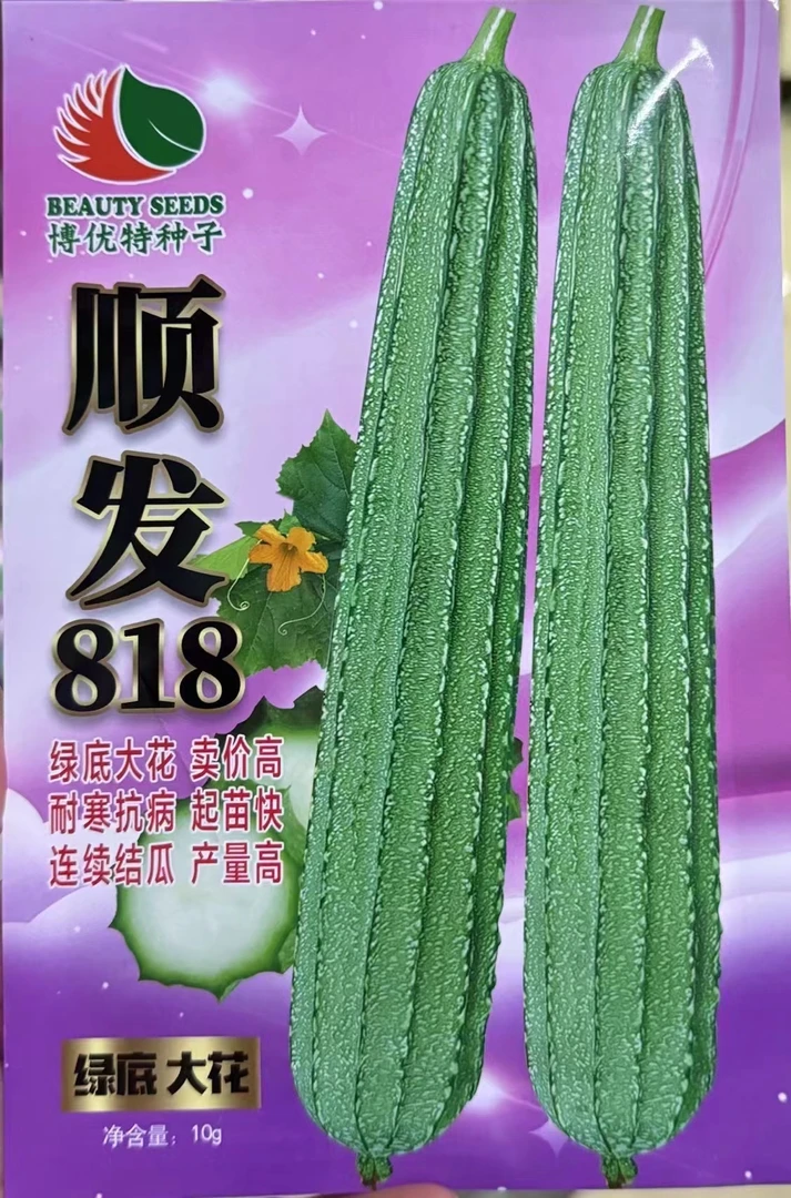 春季耐寒大花点顺发818丝瓜，一包70粒左右，瓜长32-42公分