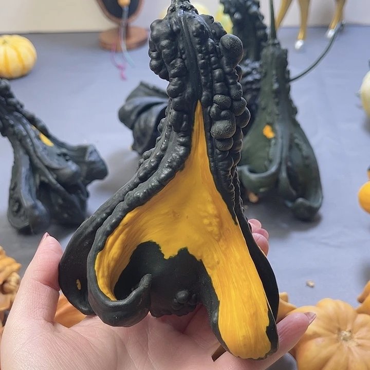 一**啾不退不换不退不换