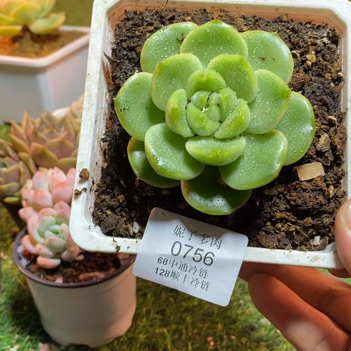 0756啊啊啊啊啊啊啊啊啊