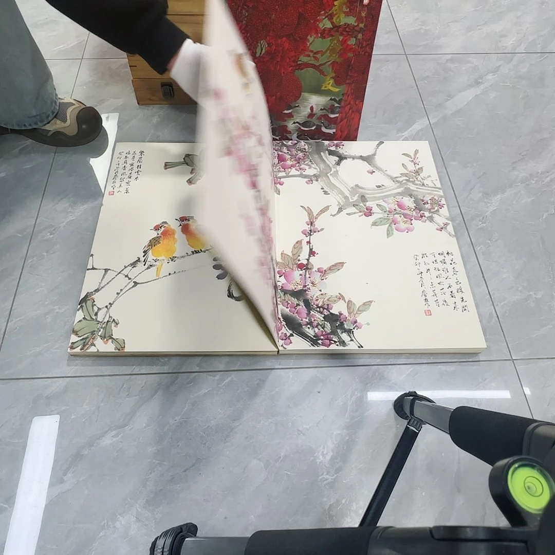 国画红皮书指出该公司