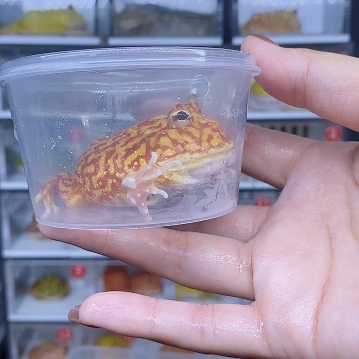 特价秒杀原价多少