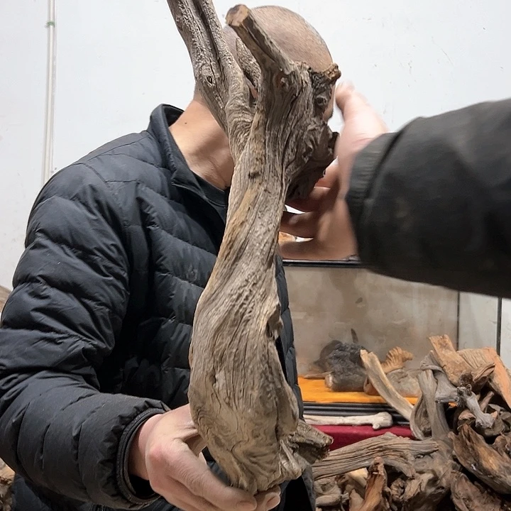 柏木弓**就我们的生活是以自己