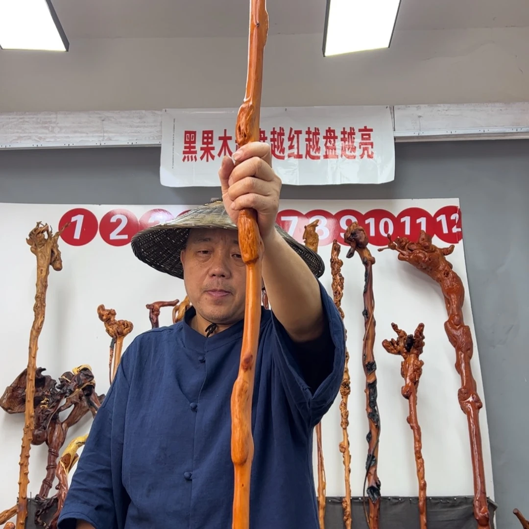 森***哥黑果木其他黑果木404