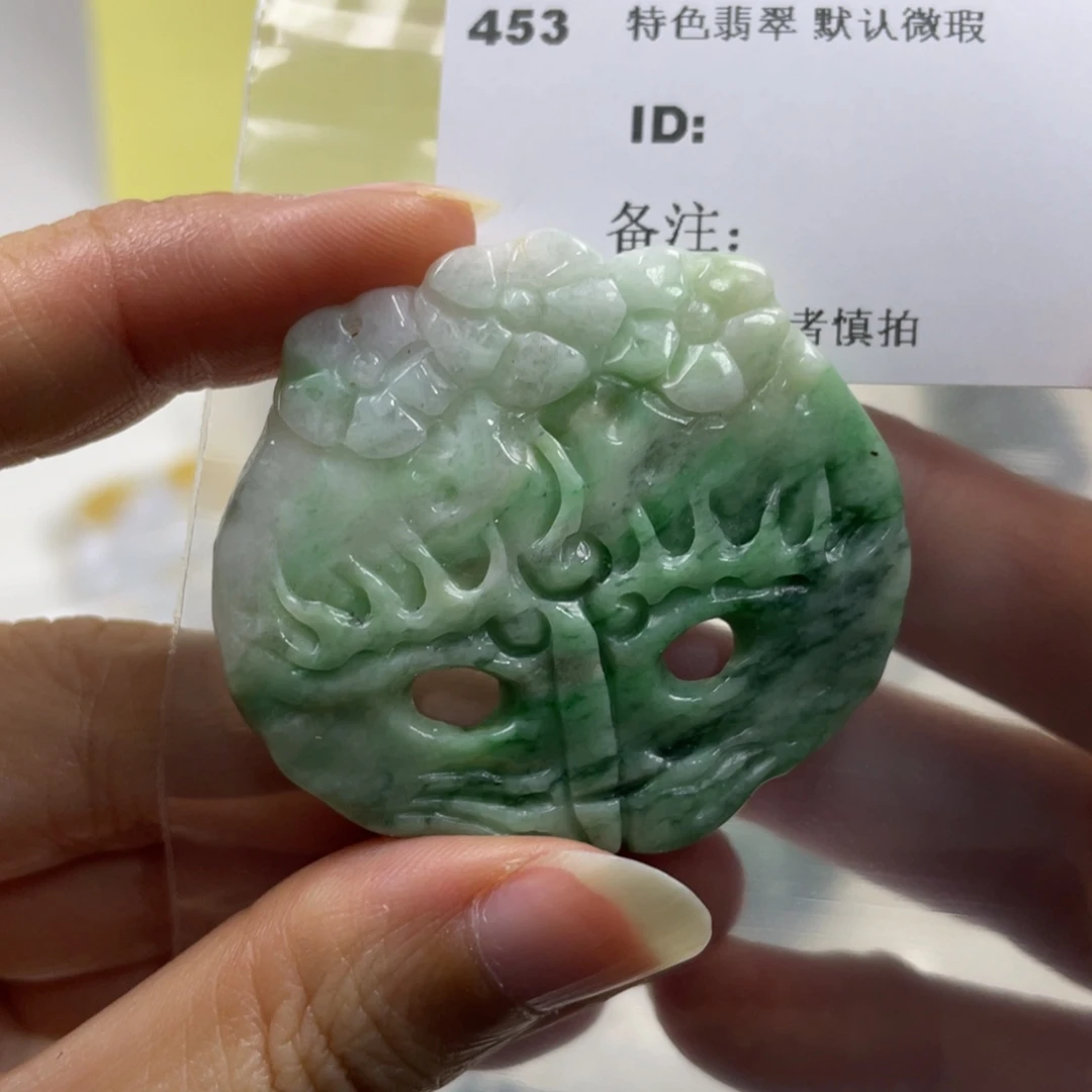 翡翠未镶嵌颈饰牌子