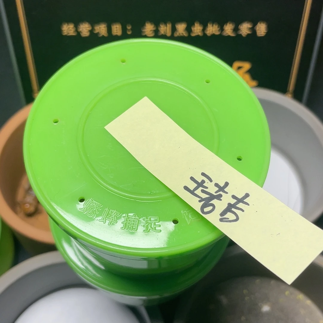 塑料王老吉闪购两条缎子青