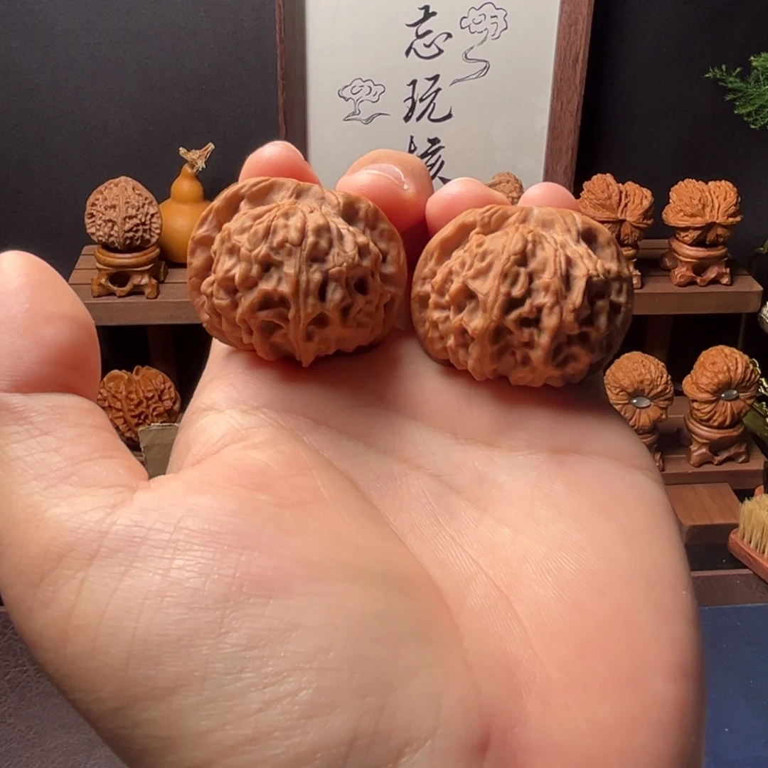 核桃41mm全品天地