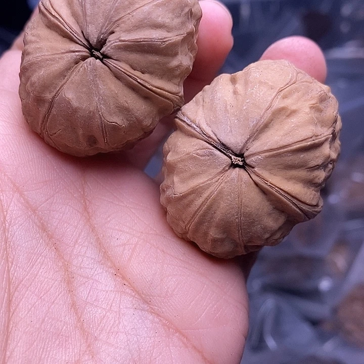 把件文玩核桃   124