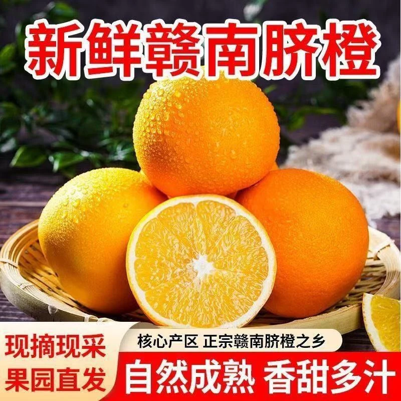 【现摘先发】正宗脐橙皮薄肉厚多汁果园直发新鲜当季橙子多仓发货XS