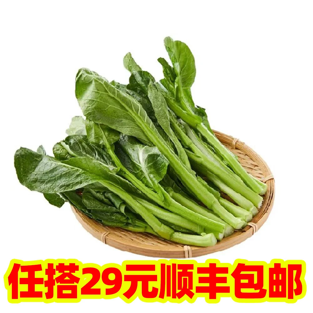 【轻食农场】新鲜本地菜心广东菜心500克白灼清炒新鲜蔬菜叶菜绿色蔬菜菜心