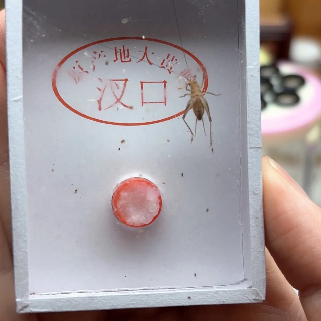 哈哈哈哈哈哈哈哈哈哈