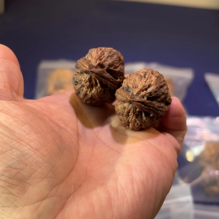 吊坠文玩核桃金鼎大粗筋