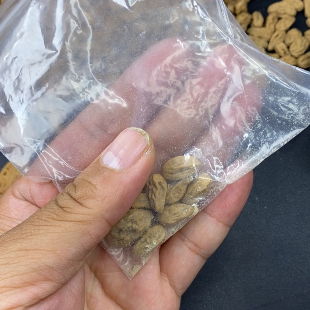 大***相核桃文玩木质核桃散籽11