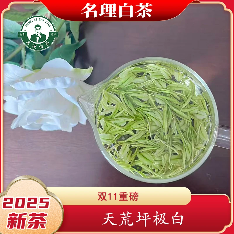 名理白【天荒坪极白】双11重磅2025新茶明前特级团购安吉原产白茶