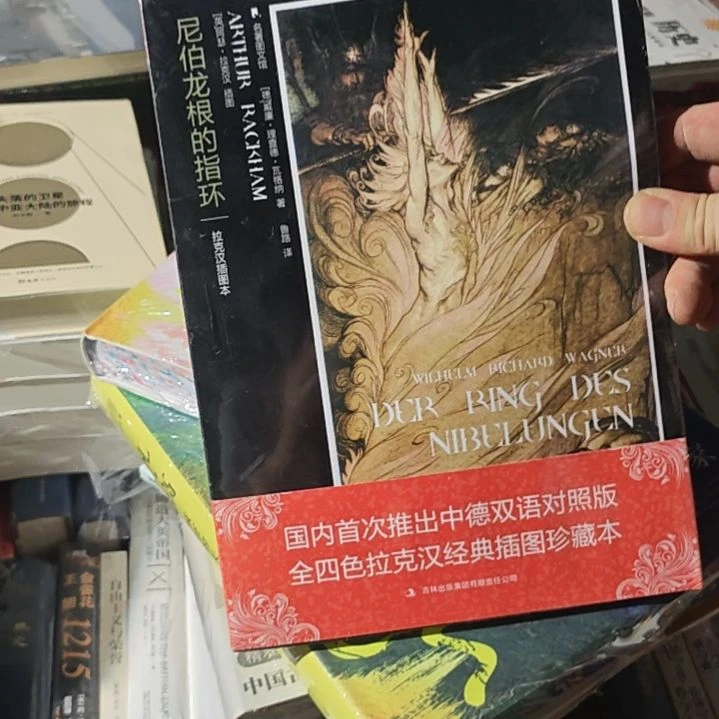 尼伯龙根的指环平装库存书