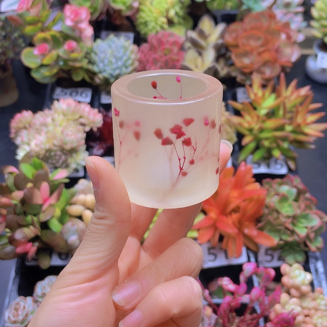 花钱花钱花钱花钱花钱