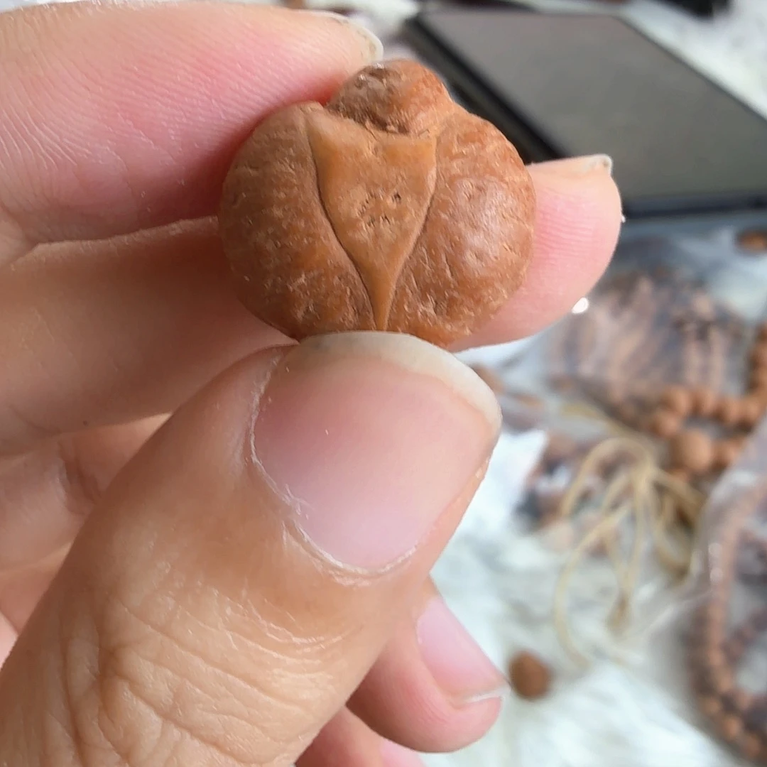 凤眼菩提吊坠4846不打孔