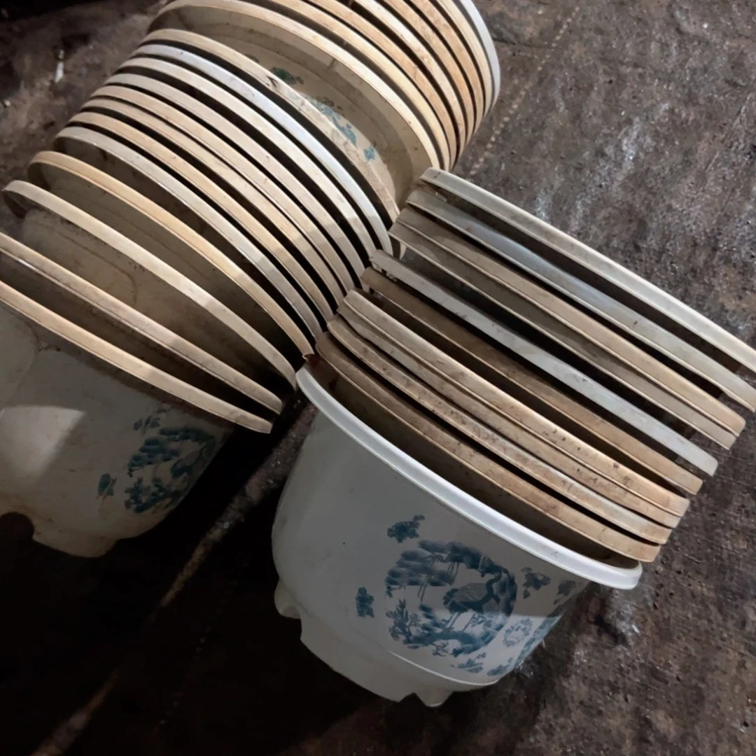 富贵花开盆17.5口径11高 10个